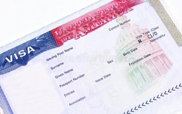 visa service